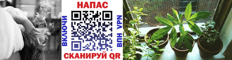 Все наркотики Кяхта Cocaine  Гашиш  кракен рабочий сайт  АМФ  Бошки Шишки  A-PVP 