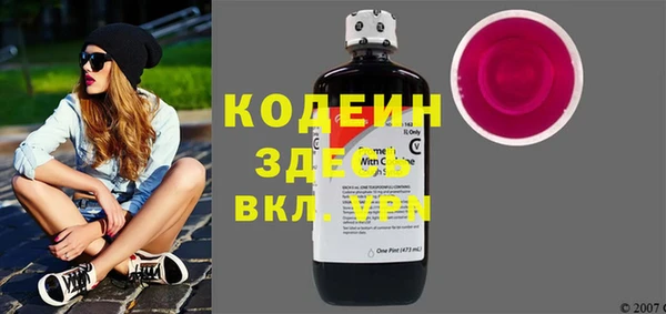 спиды Пересвет