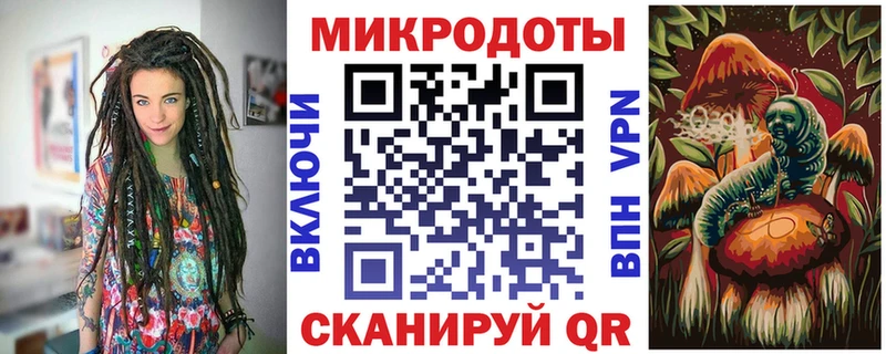 Галлюциногенные грибы Psilocybe  закладка  Кяхта 